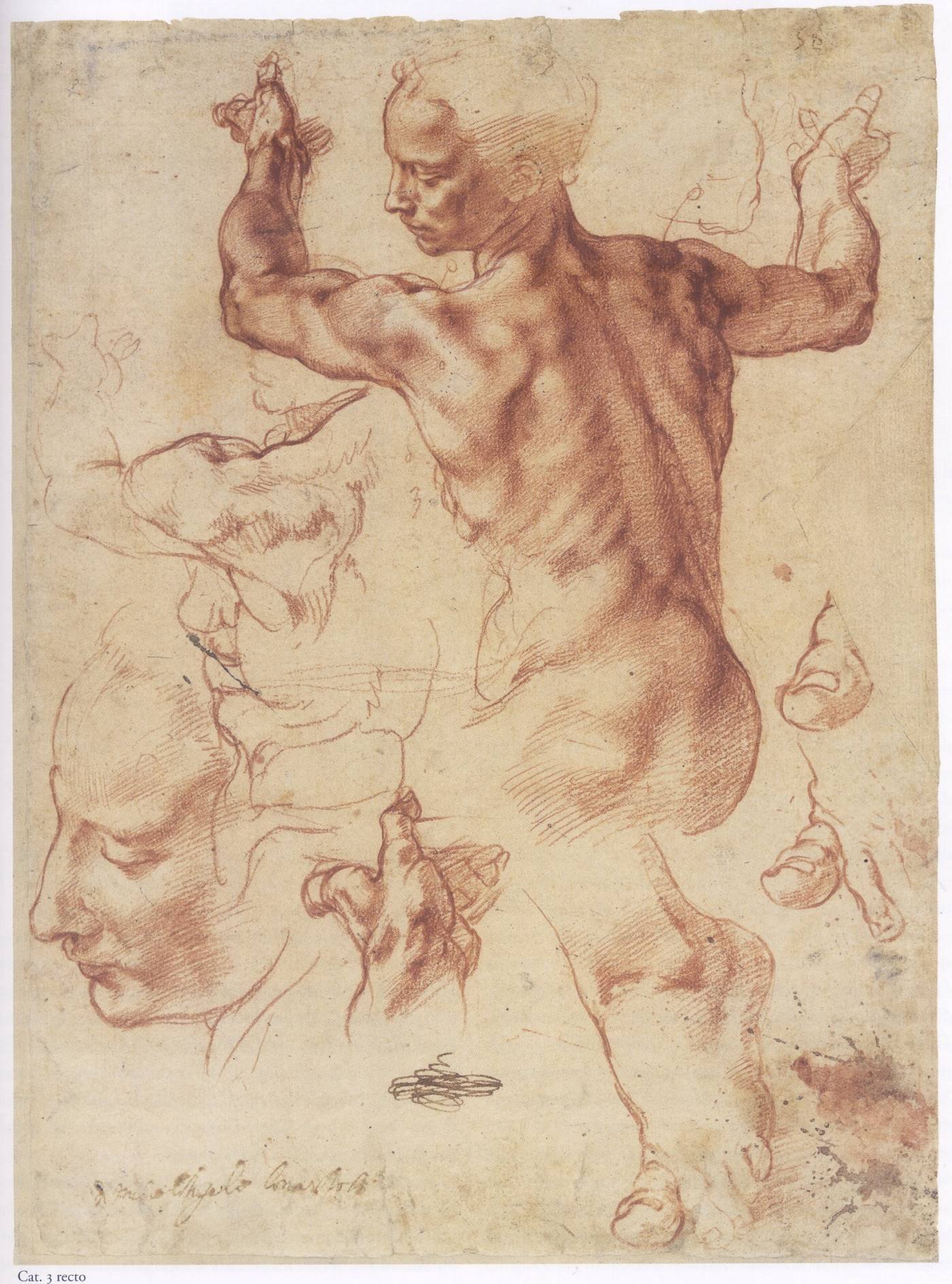 Michelangelo Drawing Study for a piece by Michelangelo